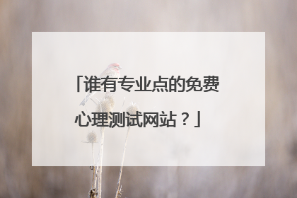 谁有专业点的免费心理测试网站？
