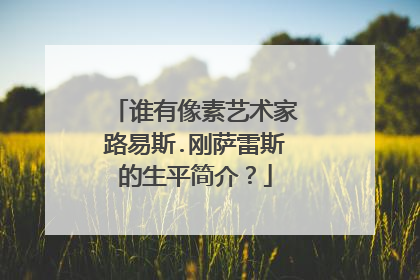 谁有像素艺术家路易斯.刚萨雷斯的生平简介?