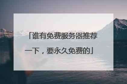 谁有免费服务器推荐一下,要永久免费的