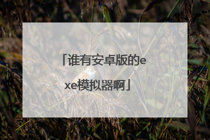 谁有安卓版的exe模拟器啊