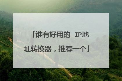 谁有好用的 IP地址转换器,推荐一个