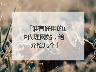 谁有好用的IP代理网站，给介绍几个