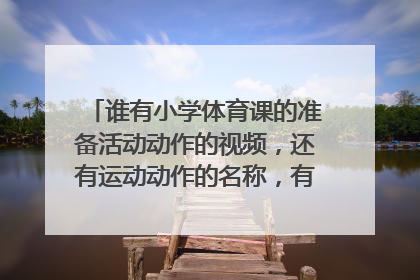 谁有小学体育课的准备活动动作的视频，还有运动动作的名称，有几节？没有视频请文字描述，谢谢QQ510958704