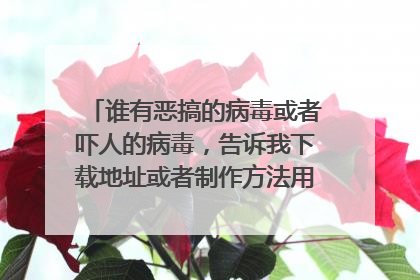 谁有恶搞的病毒或者吓人的病毒,告诉我下载地址或者制作方法用什么制作,谢谢