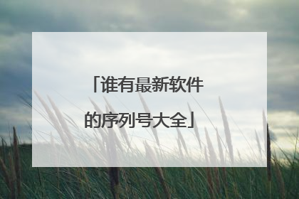 谁有最新软件的序列号大全