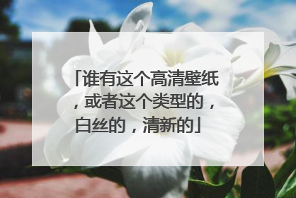 谁有这个高清壁纸，或者这个类型的，白丝的，清新的