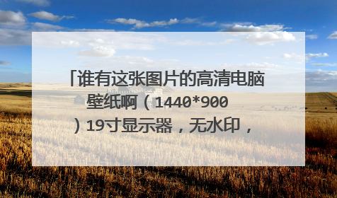 谁有这张图片的高清电脑壁纸啊(1440*900)19寸显示器,无水印,跪求!!!....