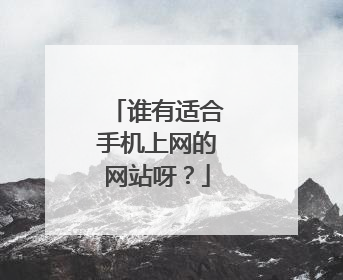 谁有适合手机上网的网站呀？