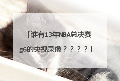谁有13年NBA总决赛g6的央视录像？？？？