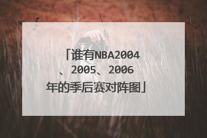 谁有NBA2004、2005、2006年的季后赛对阵图