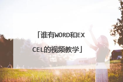 谁有WORD和EXCEL的视频教学