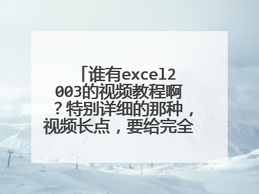 谁有excel2003的视频教程啊？特别详细的那种，视频长点，要给完全零基础的人用！！电脑初学者。