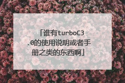 谁有turboC3.0的使用说明或者手册之类的东西啊