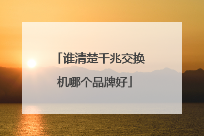 谁清楚千兆交换机哪个品牌好