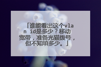 谁能看出这个vlan id是多少？移动宽带，准备光猫拨号，但不知填多少。