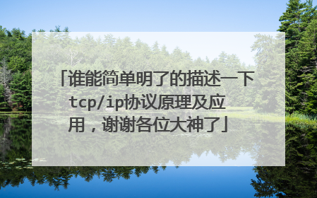 谁能简单明了的描述一下tcp/ip协议原理及应用,谢谢各位大神了