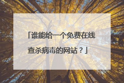 谁能给一个免费在线查杀病毒的网站？