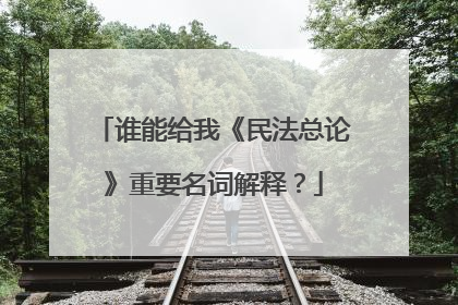 谁能给我《民法总论》重要名词解释?