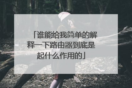 谁能给我简单的解释一下路由器到底是起什么作用的