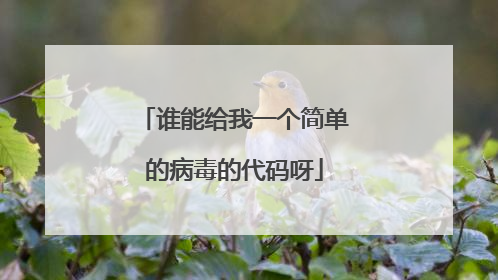谁能给我一个简单的病毒的代码呀