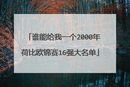 谁能给我一个2000年荷比欧锦赛16强大名单