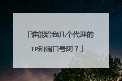 谁能给我几个代理的IP和端口号阿？