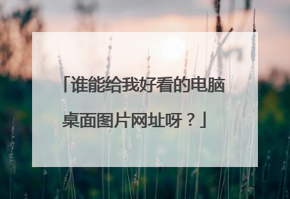 谁能给我好看的电脑桌面图片网址呀?