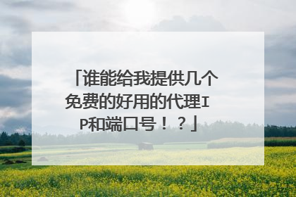 谁能给我提供几个免费的好用的代理IP和端口号！？