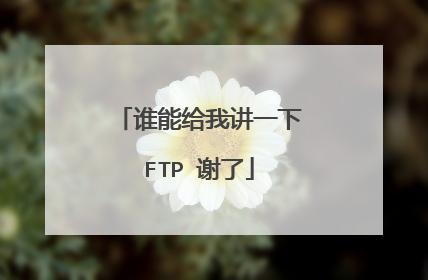 谁能给我讲一下FTP 谢了
