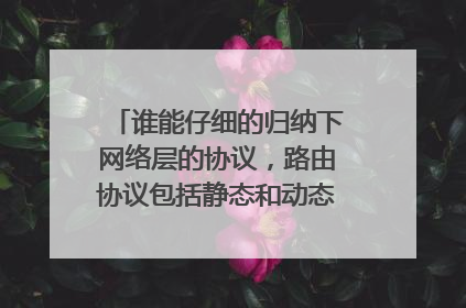 谁能仔细的归纳下网络层的协议，路由协议包括静态和动态各有哪些协议？