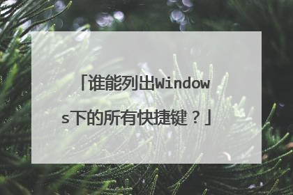 谁能列出Windows下的所有快捷键？