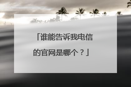 谁能告诉我电信的官网是哪个?