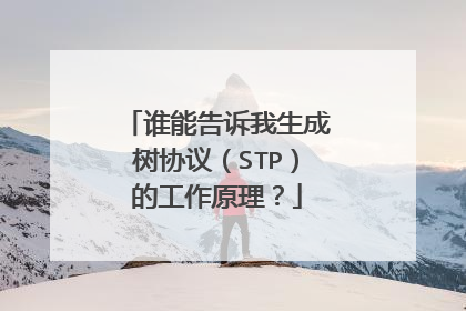 谁能告诉我生成树协议（STP）的工作原理？
