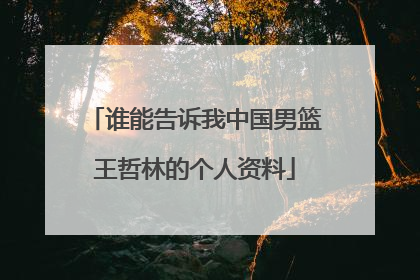 谁能告诉我中国男篮王哲林的个人资料