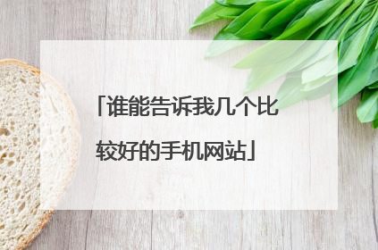 谁能告诉我几个比较好的手机网站