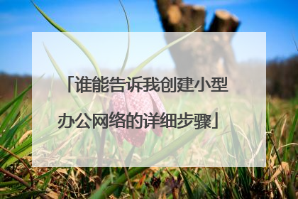 谁能告诉我创建小型办公网络的详细步骤