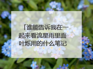 谁能告诉我在一起来看流星雨里面叶烁用的什么笔记本电脑、就是图像有个变形金刚的那个、