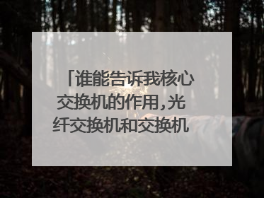 谁能告诉我核心交换机的作用,光纤交换机和交换机有什么区别