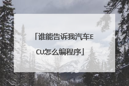 谁能告诉我汽车ECU怎么编程序