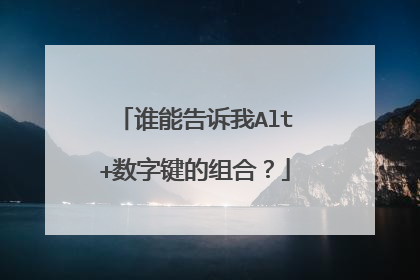 谁能告诉我Alt+数字键的组合?