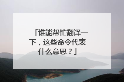 谁能帮忙翻译一下，这些命令代表什么意思？
