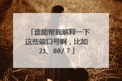 谁能帮我解释一下这些端口号啊，比如21、80/？