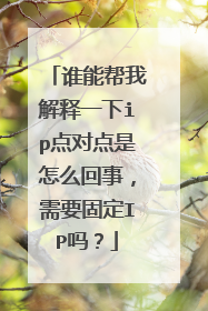 谁能帮我解释一下ip点对点是怎么回事,需要固定IP吗?