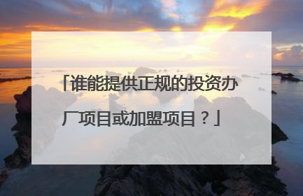 谁能提供正规的投资办厂项目或加盟项目?