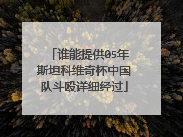 谁能提供05年斯坦科维奇杯中国队斗殴详细经过