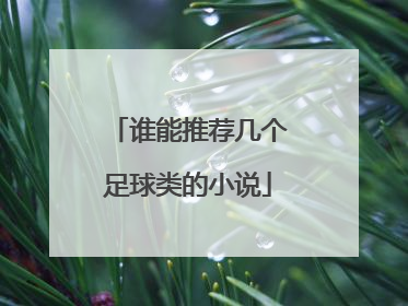谁能推荐几个足球类的小说