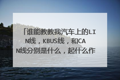 谁能教教我汽车上的LIN线，KBUS线，和CAN线分别是什么，起什么作用，谢谢，〒_〒