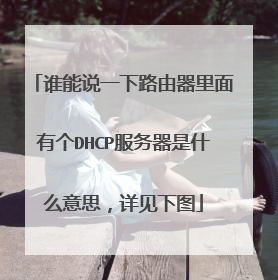 谁能说一下路由器里面有个DHCP服务器是什么意思,详见下图
