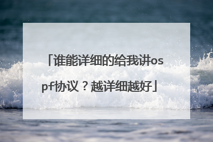 谁能详细的给我讲ospf协议？越详细越好