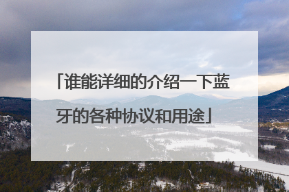 谁能详细的介绍一下蓝牙的各种协议和用途